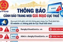 Cơ quan Thuế khuyến cáo người dân không truy cập 3 website giả mạo