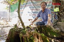 Quảng Trị:Nối lại không gian ký ức vua Hàm Nghi