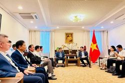 Đắk Lắk tăng cường kết nối hợp tác với Nhật Bản