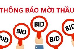 Cổ phần kinh doanh than miền Bắc-Vinacomin