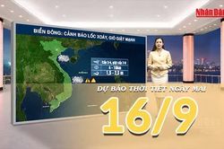 [Video] Dự báo thời tiết đêm nay và ngày mai 16/9/2026: Mưa lớn trên diện rộng ở miền Bắc có nơi trên 200mm