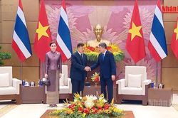 [Video] Đưa quan hệ Việt Nam - Thái Lan phát triển sâu sắc, thực chất và bền vững trong giai đoạn mới