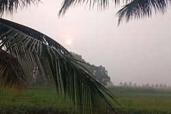 Chưa xác định được nguyên nhân 'lớp mù bao phủ' nhiều nơi ở Nam bộ