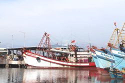 Vĩnh Long: 286 tàu cá mất kết nối hệ thống giám sát trong 8 tháng đầu năm 2026