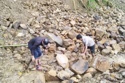 Mưa lớn gây ngập, sạt lở, chia cắt nhiều bản làng ở Nghệ An, Thanh Hóa