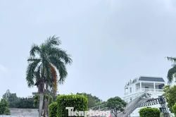 Sập giàn giáo công trình xây dựng không phép ở Tây Ninh