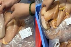 Phát hiện thịt gà, tôm có mùi bất thường vào trường học: Đơn vị cung cấp thực phẩm nói gì?
