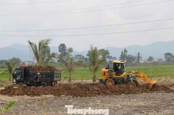 San lấp hơn 4.000m² đất lúa, bị phạt 70 triệu đồng