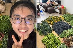 Cử nhân Luật bỏ việc về bán rau củ quả ở Hà Nội, có ngày bán 250kg