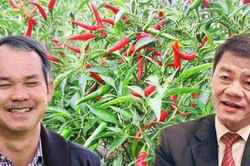 DN do ông Trần Bá Dương làm Chủ tịch: Lỗ lũy kế 13.200 tỷ, không còn tên Bầu Đức