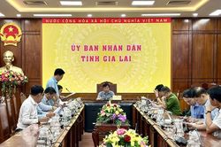 Gia Lai tăng tốc số hóa, làm sạch dữ liệu hơn 3,19 triệu thửa đất