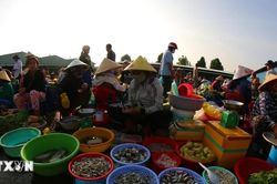 Chợ 'chồm hổm' Vị Thanh - sự mộc mạc miền Tây níu bước du khách