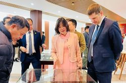 Khởi động kế hoạch 'mở đường' đưa 'di sản Việt Nam lưu lạc' về nước