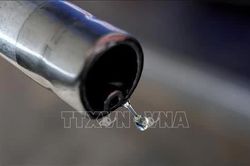 Khi nào đường ống mang 5% lượng cung dầu cho thế giới hoạt động trở lại?