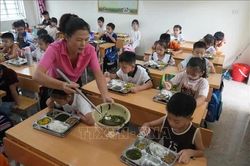 Bữa ăn bán trú: Không chỉ chuyện đủ món, đúng định lượng