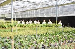 Triển vọng hợp tác Việt - Trung trong lĩnh vực nông nghiệp công nghệ cao