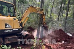 TP. Hồ Chí Minh khoanh vùng xử lý ổ dịch tả lợn châu Phi tại xã Xuân Sơn