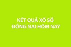 XSDN 16/9. Kết quả xổ số Đồng Nai hôm nay ngày 16/9/2026. SXĐN ngày 16/9. SXĐN hôm nay