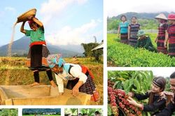 Cần ban hành Nghị định mới nhằm bảo đảm giải ngân thông suốt cho Chương trình mục tiêu quốc gia 2026