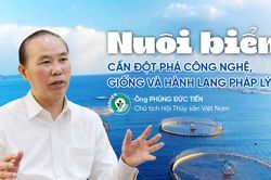 Nuôi biển cần đột phá công nghệ, giống và hành lang pháp lý
