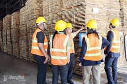 Ngành gỗ cần được gỡ vướng về thuế giá trị gia tăng