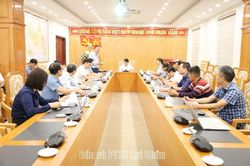 Họp Ban Tổ chức Hội thảo khoa học 'Sâm Lai Châu - Tinh hoa đại ngàn Tây Bắc'