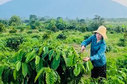 Phụ nữ vùng đồng bào DTTS mạnh dạn phát triển kinh tế