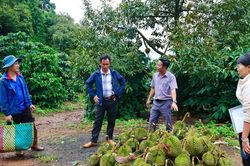 Chủ động phòng ngừa, giảm thiệt hại do thiên tai