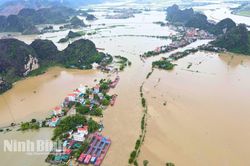 Ninh Bình chủ động ứng phó mưa lớn, nguy cơ lũ trên sông Hoàng Long và sông Đáy