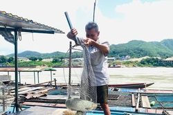 Những “lão ngư” cuối cùng trên sông
