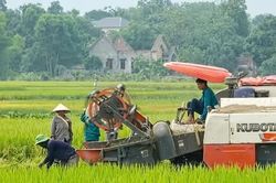 Đại Đồng tạo đà thúc đẩy phát triển kinh tế - xã hội