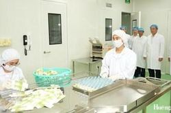 Mở rộng không gian công nghiệp, kết nối hạ tầng phía Bắc