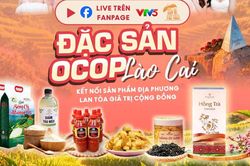 Mega Livestream quảng bá OCOP Lào Cai thu hút hơn 2.000 sản phẩm