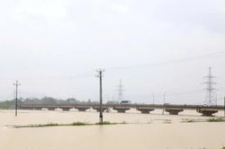 Nước sông Bôi dâng cao, Ninh Bình cấm tàu thuyền qua cầu Đế