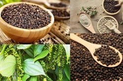 Hải quan gỡ vướng cách áp dụng tỷ giá đối với hàng hóa xuất khẩu