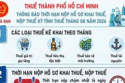 Lưu ý thời hạn nộp hồ sơ khai thuế kỳ tính thuế tháng 8