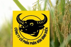 Bình Điền hai lần bị xử phạt thuế, dòng tiền âm và nợ ngắn hạn tăng mạnh