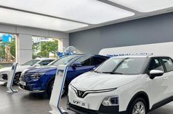 Sự xuất hiện của Tesla: Cuộc đại chiến xe điện tỷ USD tại Việt Nam chính thức bùng nổ?