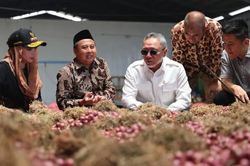 Hành tím Indonesia tìm đường 'xuất ngoại' sau khi đảm bảo nguồn cung nội địa