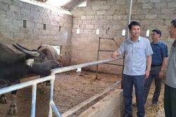 Xã Quảng Uyên 391 hội viên nông dân vay vốn phát triển sản xuất