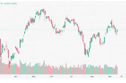 Chứng khoán 15/9: VN-Index lấy lại 1.800 điểm, ngân hàng dẫn sóng