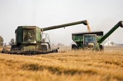 Chi phí lãi vay nông trại Hoa Kỳ lập kỷ lục, chuyên gia tiên lượng xấu
