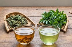 Nước lá đinh lăng tươi hay khô tốt hơn?