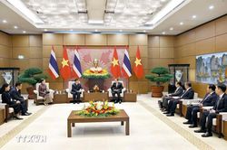 Chủ tịch Quốc hội Trần Thanh Mẫn đề nghị tăng cường hợp tác nghị viện Việt Nam - Thái Lan