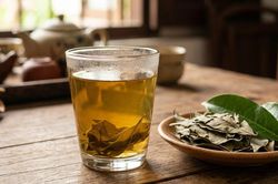 Ai không nên uống nhiều nước lá vối?