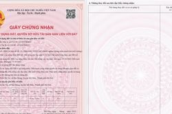 Người dân sẽ được cấp 'sổ đỏ' điện tử tích hợp trên VNeID
