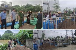 Khẩn trương đắp bờ bao, xử lý nguy cơ tràn đê