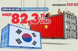 Việt Nam nhập 60,1 tỉ USD hàng Hàn Quốc, riêng điện tử 43,3 tỉ USD