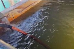 Hải Phòng: Người dân xã Tân Minh mong mỏi được dùng nước sạch