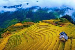 Lào Cai hướng tới xây dựng hệ sinh thái du lịch thông minh